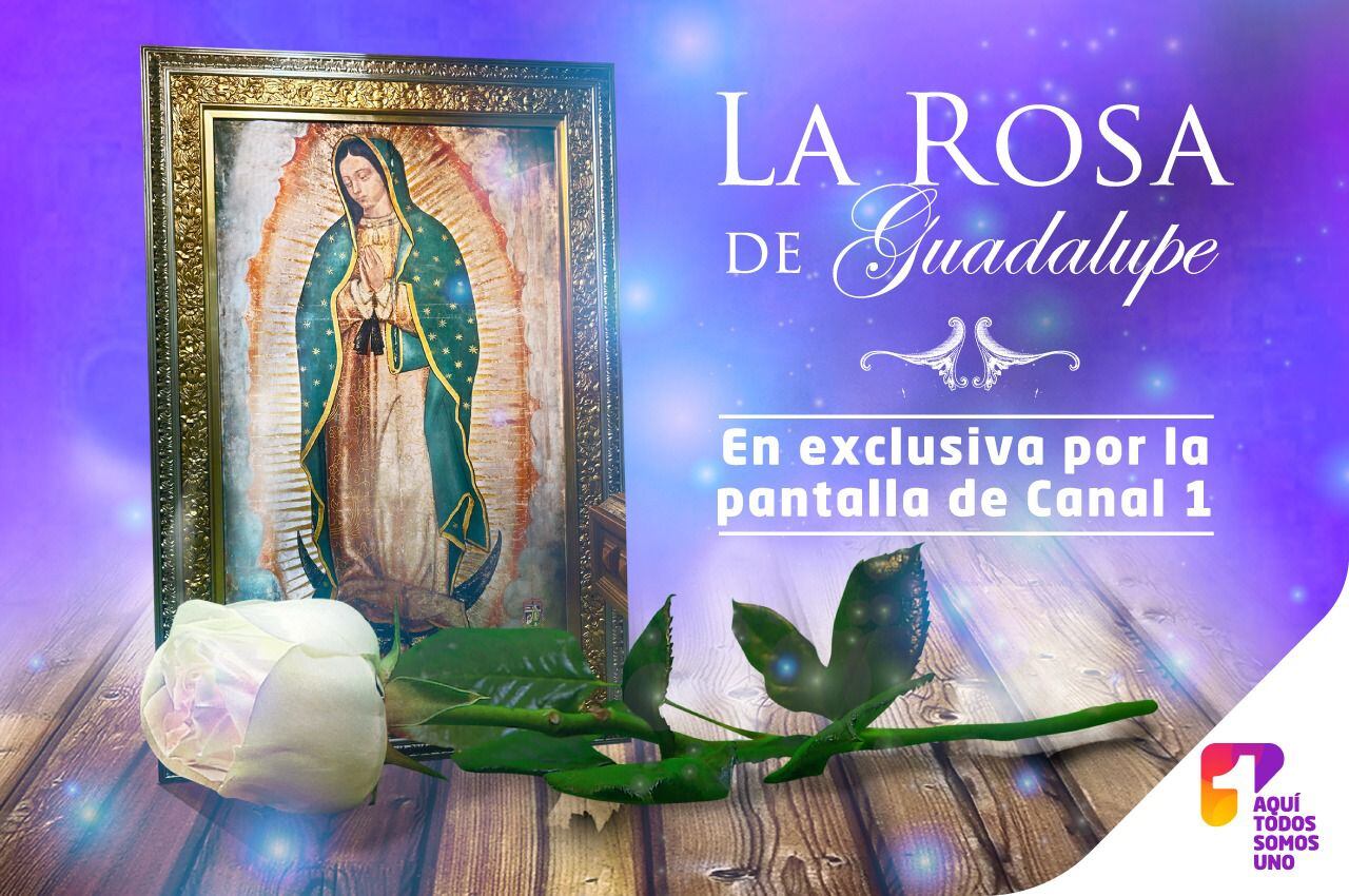 La Rosa De Guadalupe La Novela Contenido exclusivo de Televisa se verá en Canal 1 empezando por la Rosa de  Guadalupe