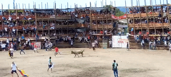 Tragedia durante corrida de toros en El Espinal, departamento del Tolima.