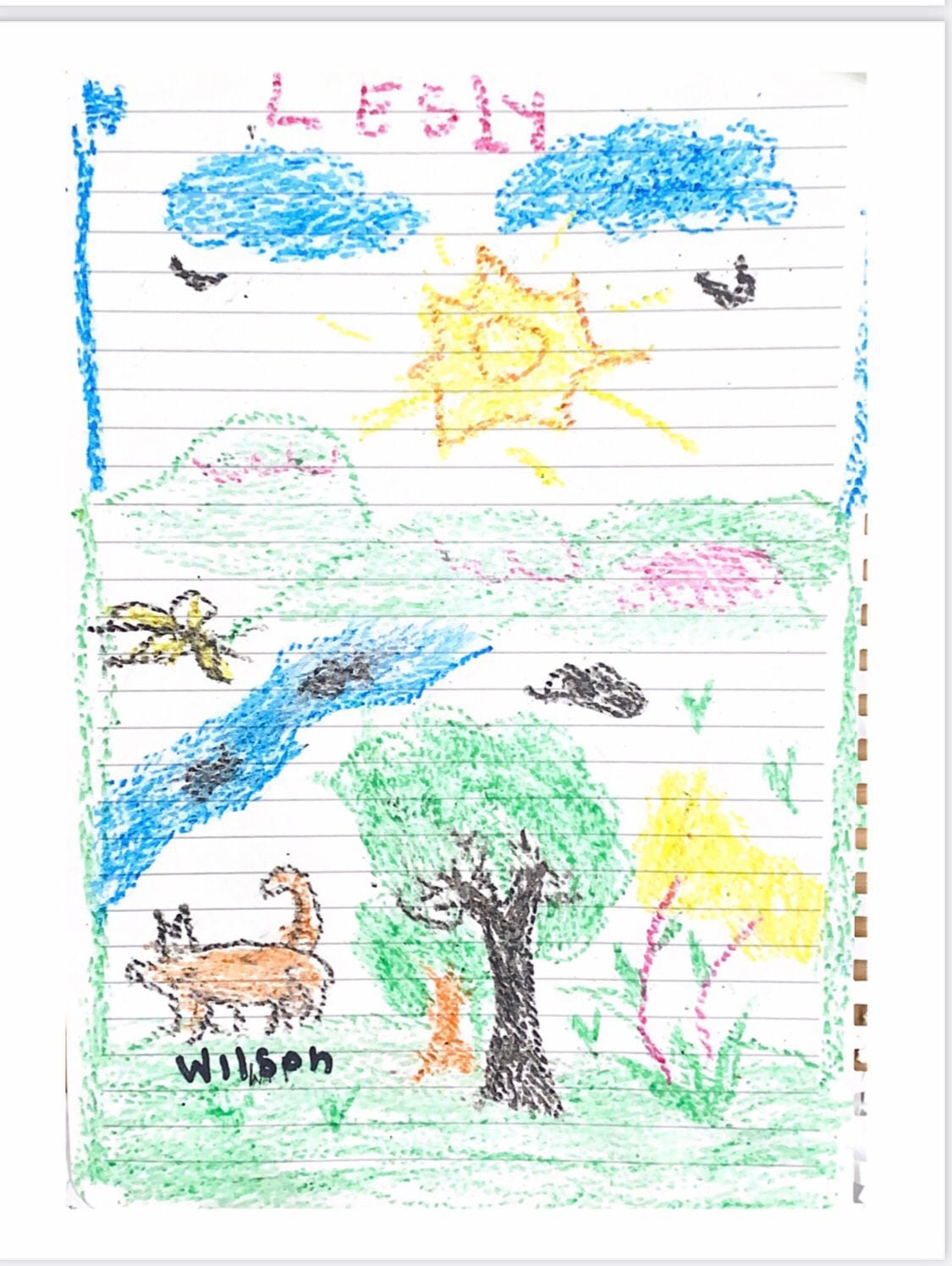 Niñas rescatadas de las selvas del Guaviare hicieron un dibujo para el Guía canino y amigo de Wilson, el perrito que permanece extraviado.