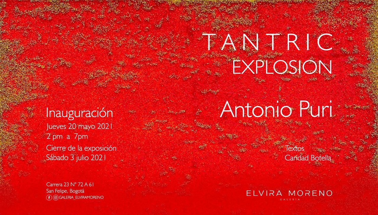 Antonio Puri en Elvira Moreno Galería