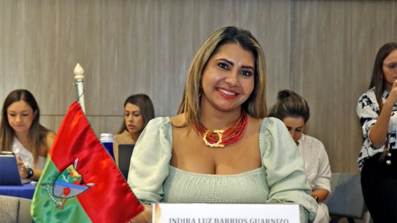 La gobernadora encargada de Arauca, Indira Luz Barrios.