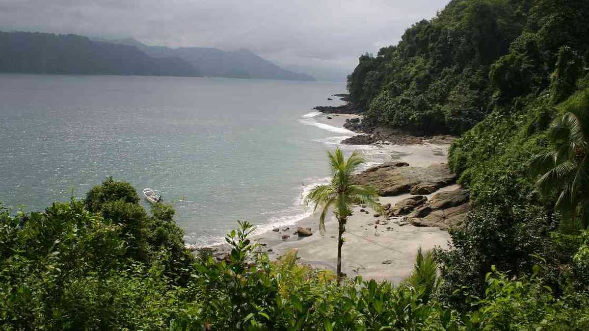 El Golfo de Tribugá se ubica en el corazón del llamado Chocó Biogegráfico, uno de los 24 hotspots de biodiversidad en el mundo. Foto: David Páez/Parques Nacionales Naturales 