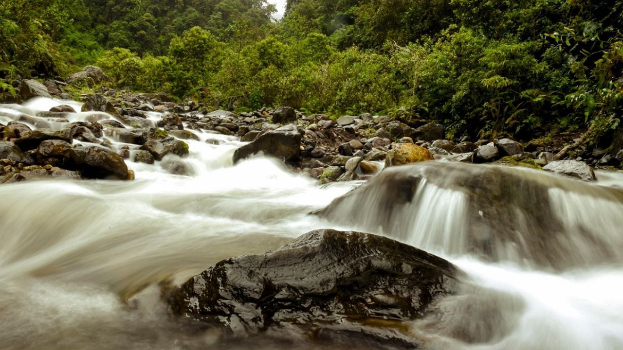 Fondo de Agua para protección del río Combeima