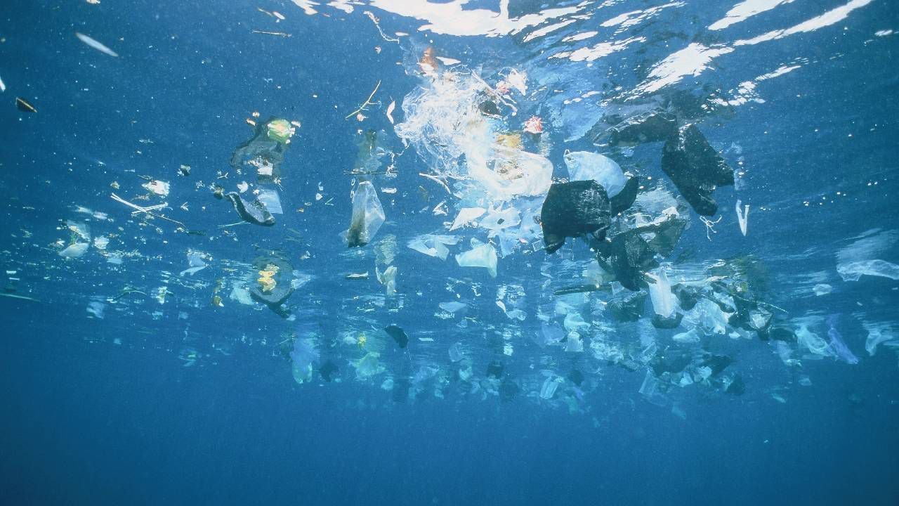 Expertos señalan que toneladas de plástico llegan a los océanos donde amenaza la vida marina. Imagen de referencia. Foto: Getty images.