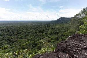 Amazonía colombiana.