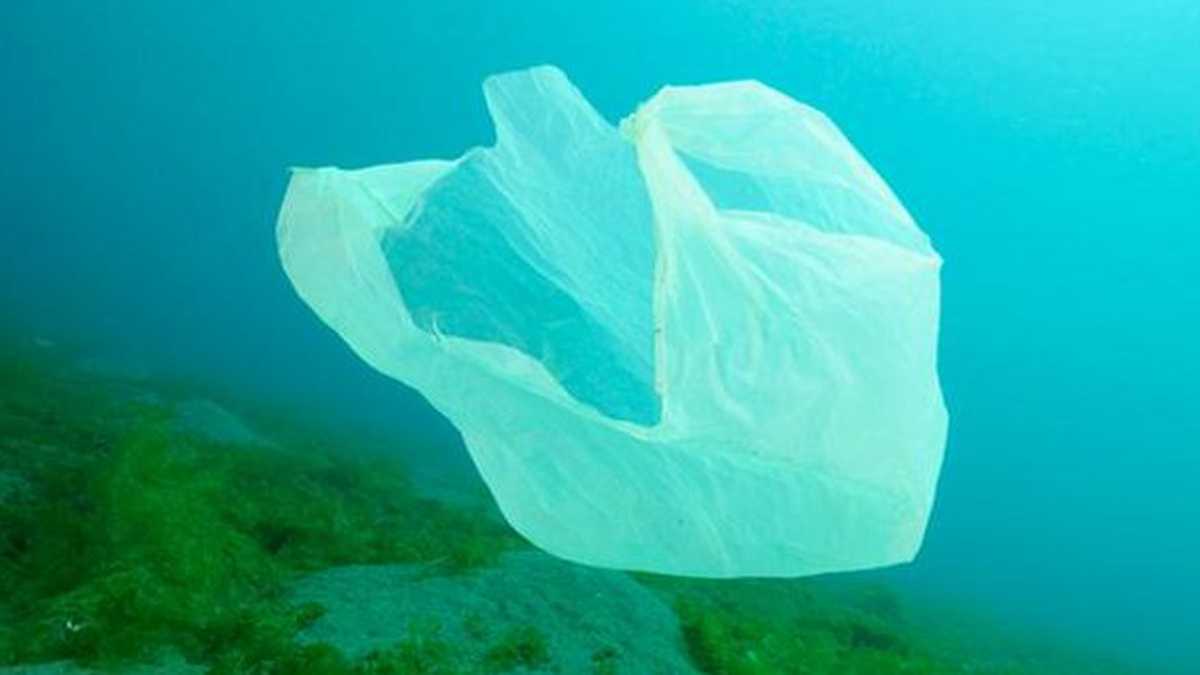 Las bolsas plásticas de un solo uso generan altos niveles de contaminación en los océanos. 