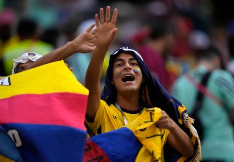 A fan for Ecuador waves a flag prior the World Cup, group A soccer match between Qatar and Ecuador at the Al Bayt Stadium in Doha, Sunday, Nov. 20, 2022. (AP Photo/Natacha Pisarenko)
