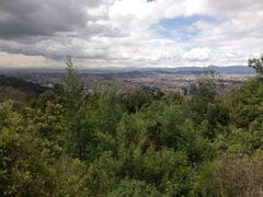 Quienes hacen uso permanente de la reserva forestal protectora Bosque Oriental de Bogotá (cerros orientales), deben pagar ante la CAR.