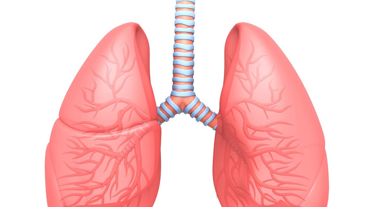 ¡Tome nota! Estos son los hábitos diarios que dañan sus pulmones