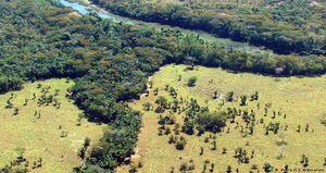 La deforestación es una de las mayores amenazas que enfrenta la Amazonia colombiana. Foto: archivo particular.