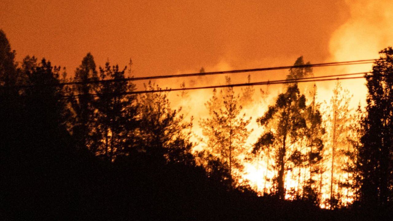 En 2022, la región de Valparaiso también sufrió duros incendios que consumieron grandes hectáreas de bosque