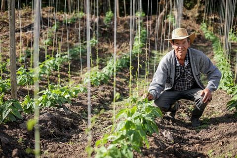 A través de diferentes iniciativas, la Gobernación de Cundinamarca ha beneficiado a 184.000 pequeños productores del departamento.