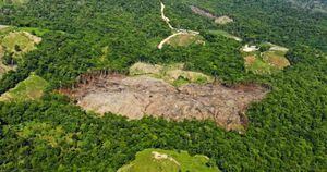 Promover formas de sustento que no atenten contra el medioambiente, es uno de los retos de los gobiernos tras la pandemia. Foto: Ejército Nacional. 