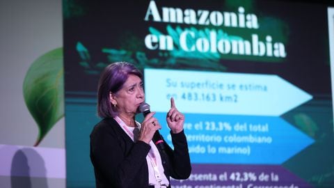 Luz Marina Mantilla, directora general del Instituto Amazónico de Investigaciones Científicas (Sinchi).