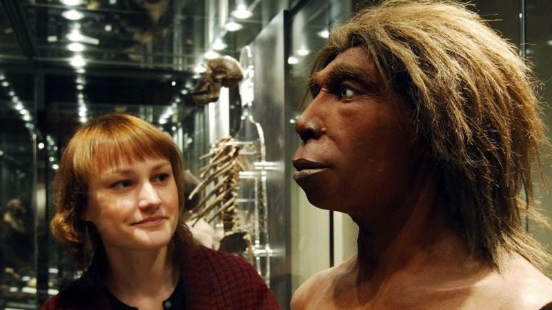 Tanto hombres como mujeres neandertales se cruzaron con nuestra propia especie, según registros genéticos.