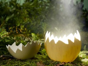 Lo que tenía dentro un huevo con gran tamaño dejó sin palabras a una familia latina. Foto de referencia: Getty Images