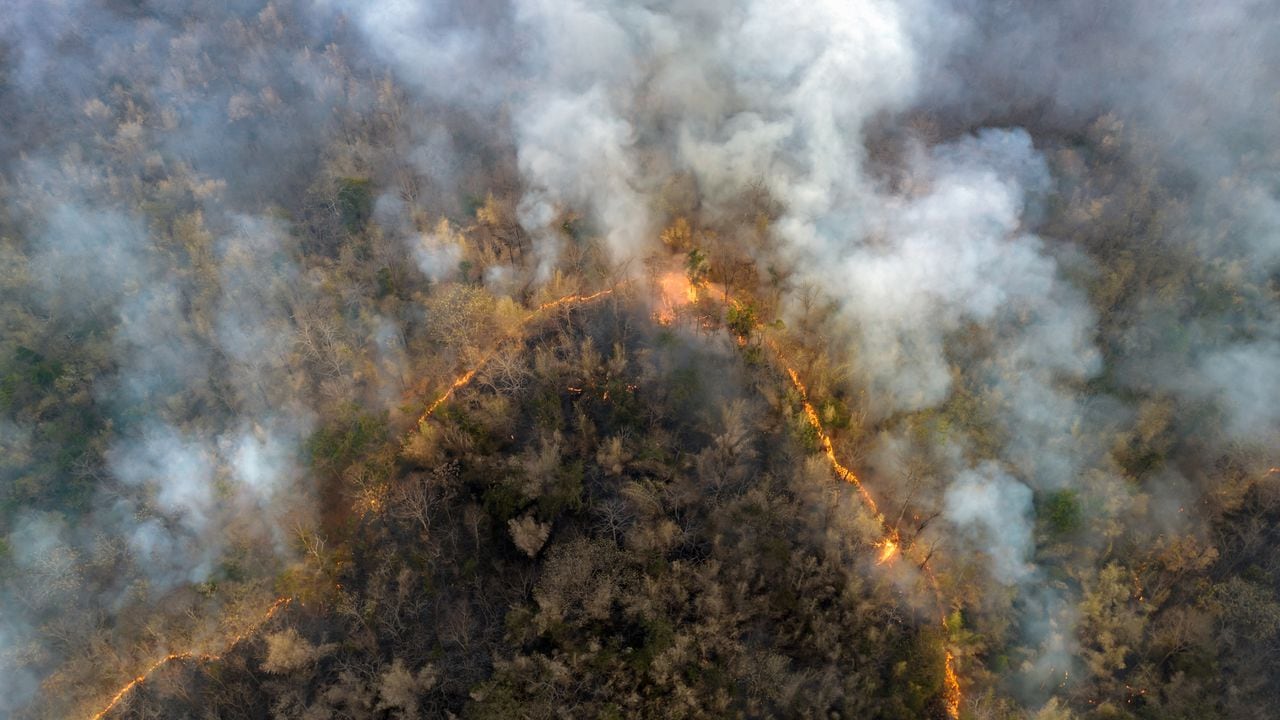 Selva amazónica siendo arrasada por incendios, en algunos casos provocados por la gran sequía.