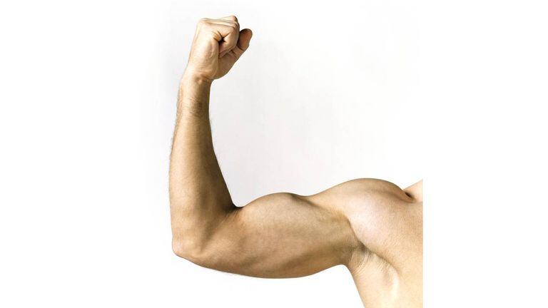 Para aumentar la masa muscular hay que tener en cuenta una dieta saludable y la actividad física. Foto: GettyImages.