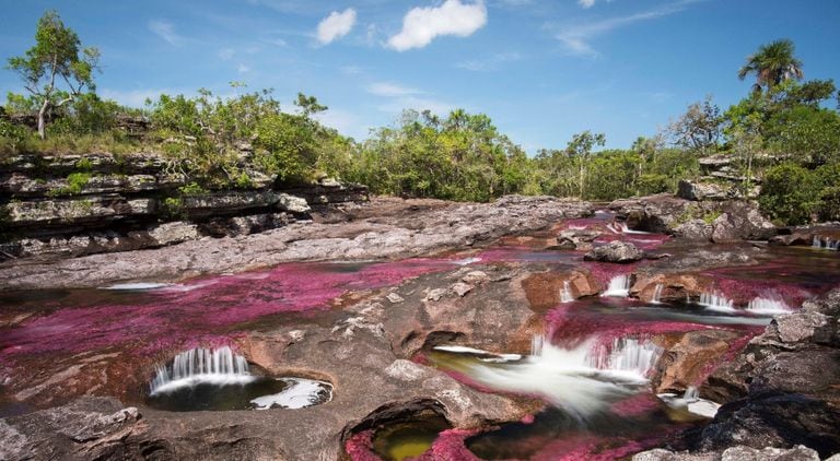 Este año Caño Cristales cerrará su temporada antes de lo esperado por condiciones climáticas.