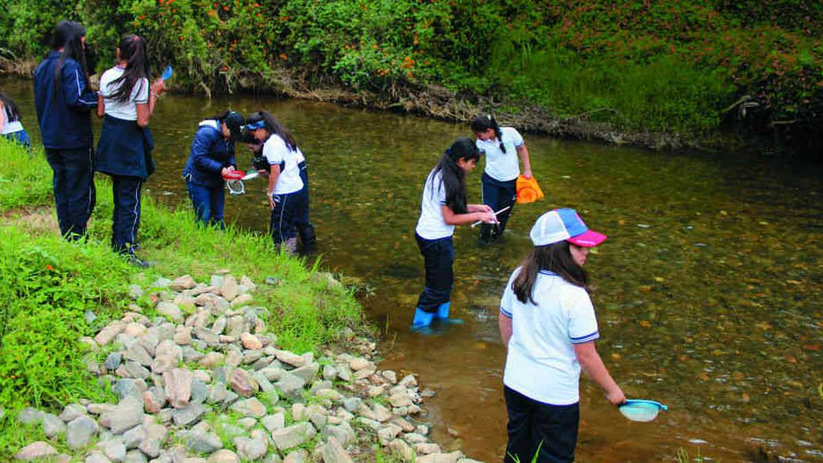 La educación ambiental es uno de los temas que se está reforzando en los colegios