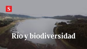 Conozca la biodiversidad del río Bogotá