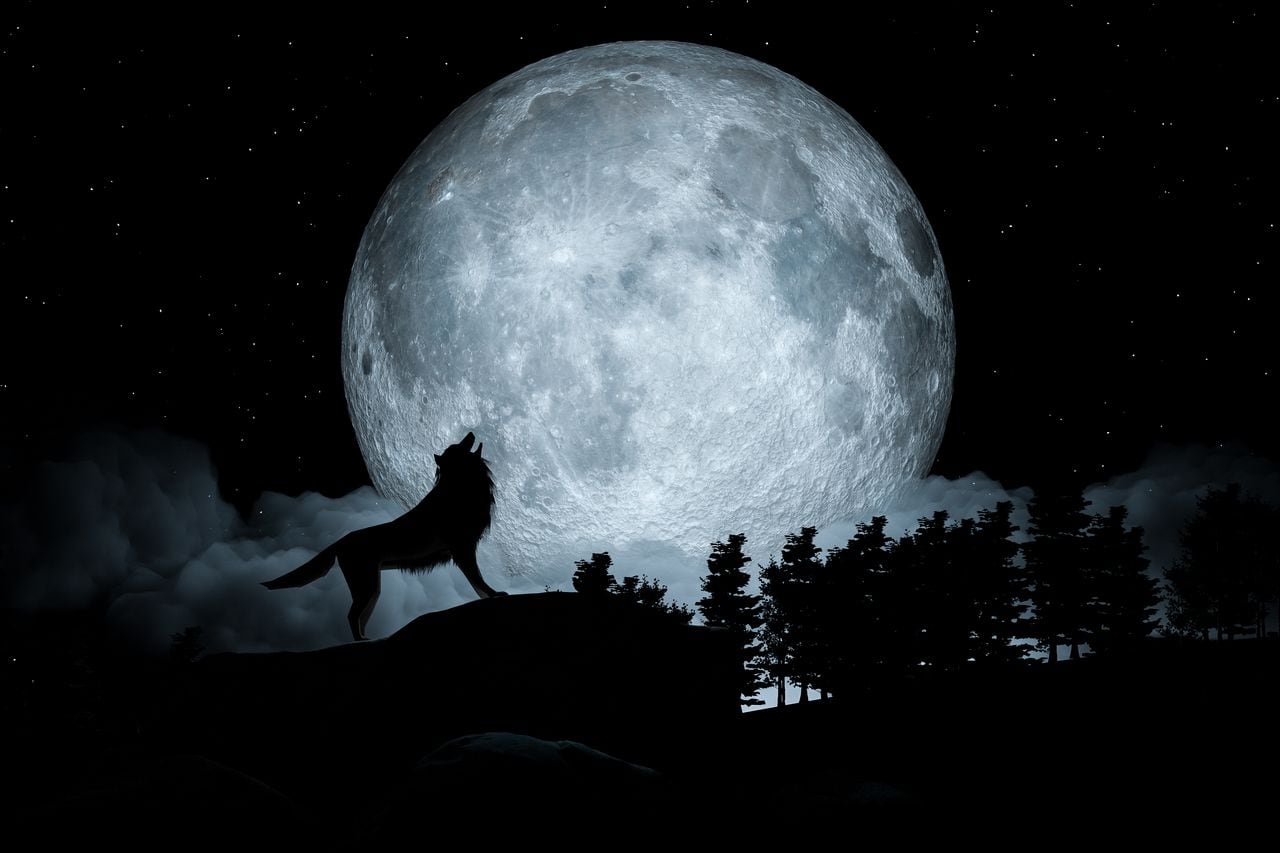 Luna del Lobo- primera luna llena de enero