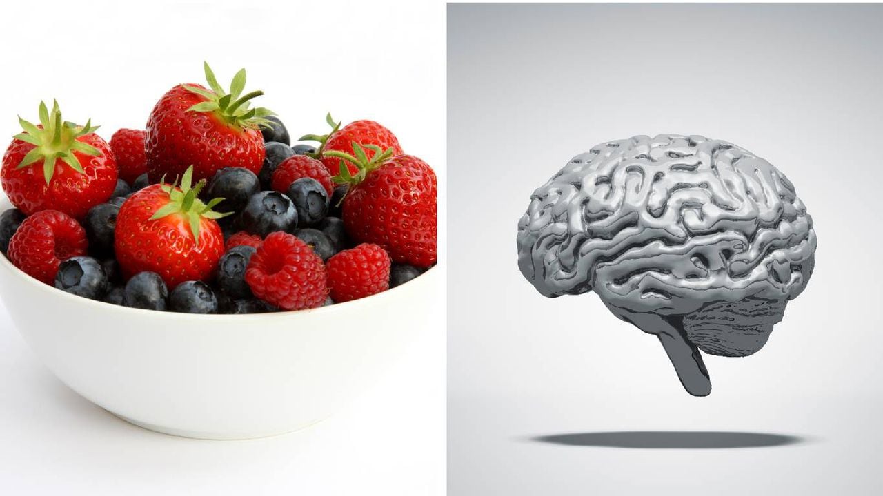 Las frutas conforman una dieta saludable que el cerebro necesita para obtener combustible y nutrientes. Foto: Getty Images. Montaje SEMANA.
