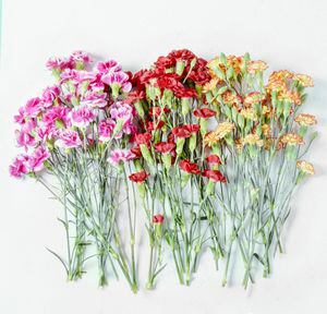 A los claveles se les considera como "las flores de Dios".