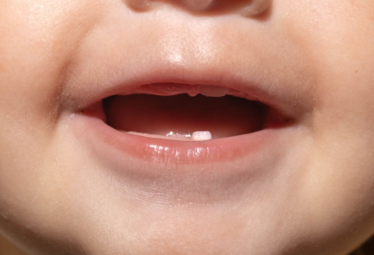 Los adultos le transmiten bacterias a los bebés por medio de la saliva.