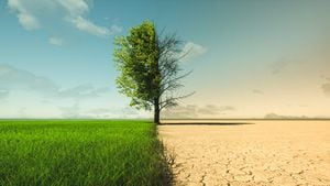 El cambio climático de la sequía al crecimiento verde