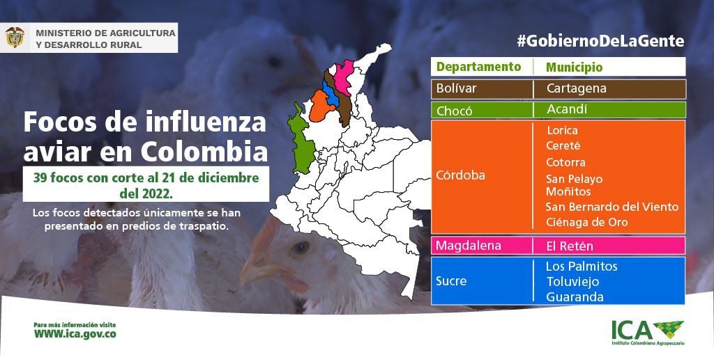 Reporte de gripa aviar en Colombia.