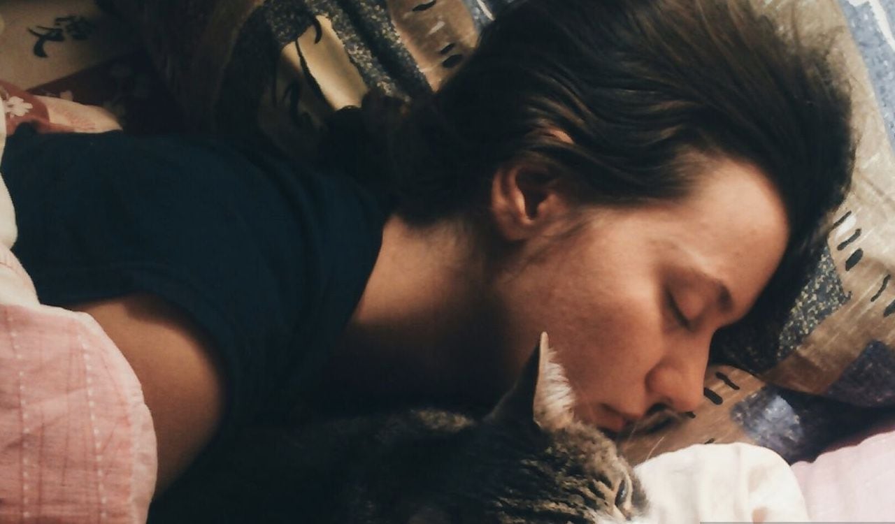 También hay otras consecuencias de dormir con gatos en las cama, como que lo rasguñe en las noches