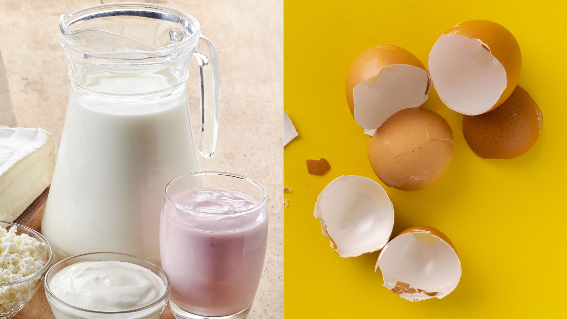 Antibióticos Burro paracaídas Cáscara de huevo y yogur: así se pueden usar para obtener colágeno natural