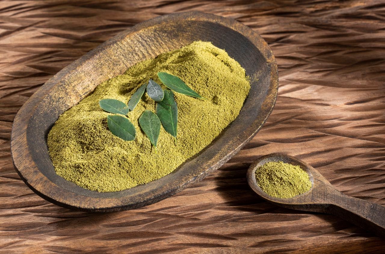 Imagen de referencia de moringa