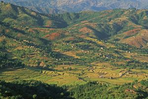 (Original Caption) Terraced rice fields, interspersed with small homes, on floor of green valley foothills of Himalayas