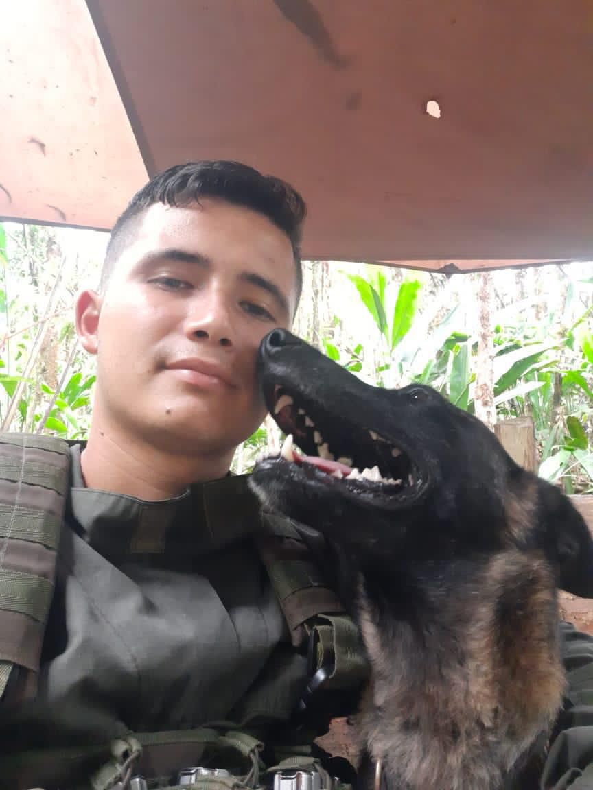 Cobra perra Antinarcóticos muerta en campo minado