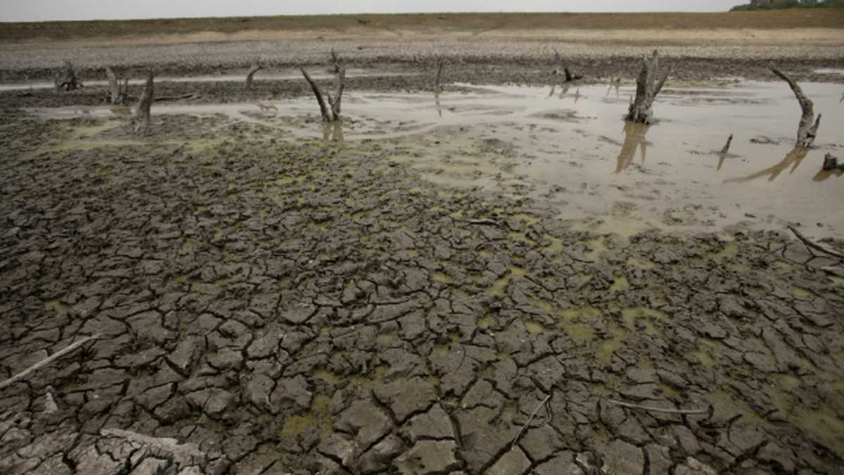 Esta fotografía es de la sequía en Paz de Ariporo, Casanare.