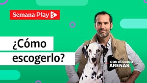 Rodrigo Arenas - Cómo escoger un perro