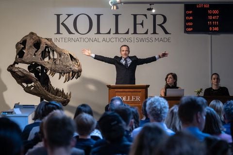 El director de la casa de subastas Koller, Cyril Koller, hace un gesto junto al cráneo de 'Trinity' en la venta del esqueleto del Tyrannosaurus-Rex (T-Rex) por la casa de subastas Koller en Zúrich