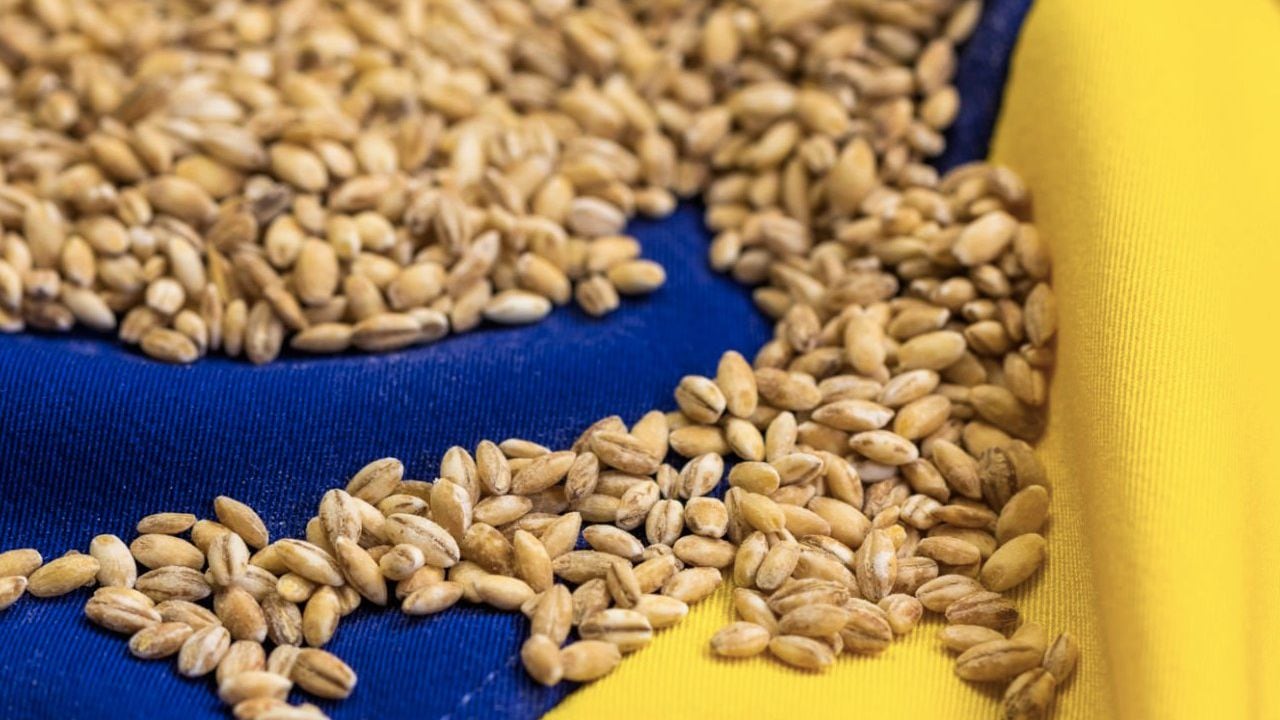 La Comisión Europea levantó restricciones a las exportaciones de cereales procedentes de Ucrania