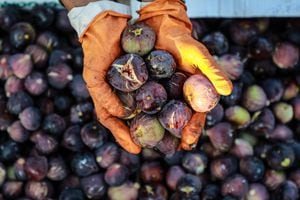 El higo es una fruta que ayuda a reducir la presión arterial, los niveles de azúcar en la sangre y aporta antioxidantes.