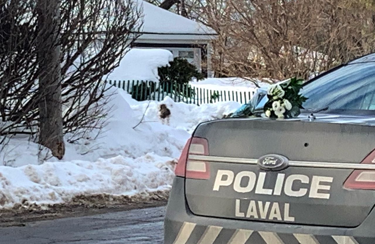 Flores blancas yacían en un coche de policía cerca del lugar donde un autobús urbano se estrelló contra una guardería, en Laval, Quebec, Canadá