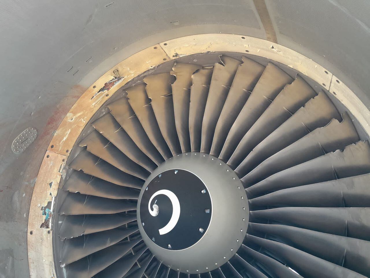 La turbina derecha del avión resultó afectada por el impacto con el ave