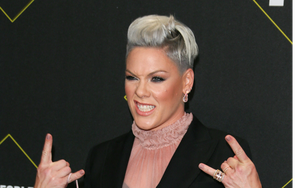 Cantante Pink.