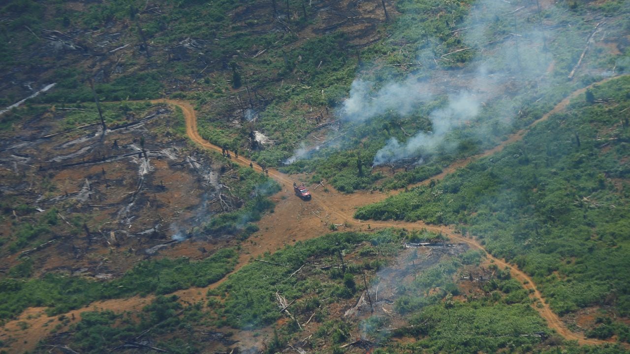Ondas de humo de un incendio en esta vista aérea que muestra una parcela deforestada de la selva amazónica en el estado de Rondonia, Brasil. REUTERS / Adriano Machado