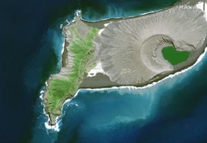 Vegetación crece en la isla creada por el volcán submarino de Tonga, el 10 de abril de 2021.