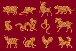 Horóscopo chino con sus 12 signos zodiacales de animales.