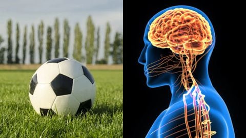 Un estudio en Suecia reveló que los futbolistas son más propensos a tener enfermedades neurodegenerativas .