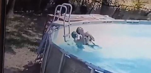 Estados Unidos: un niño salvó a su mamá mientras ella convulsionaba en una piscina
